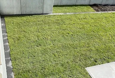 Lulzim Gartenbau Beispielgarten von einem Kunden - Neue Rollwiese