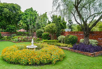 Lulzim Gartenbau Beispielgarten von einem Kunden - Gartenpflege